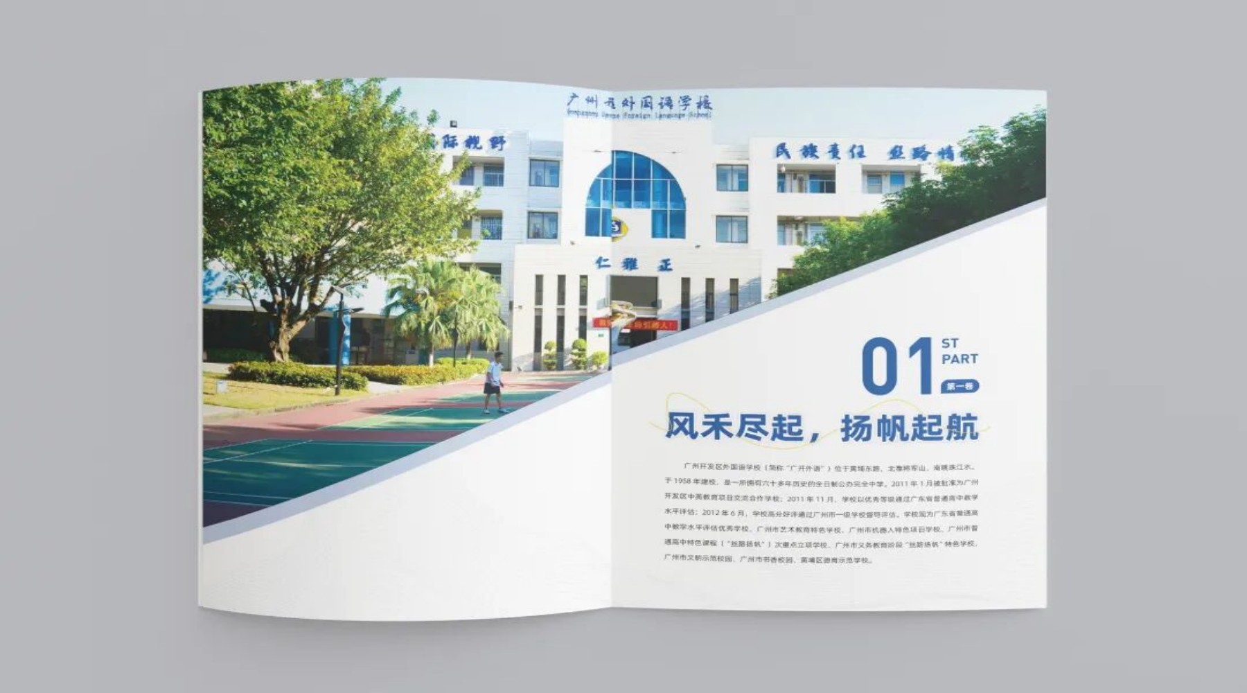 6月新品